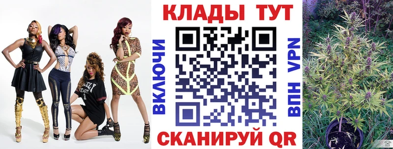 Альфа ПВП Саров