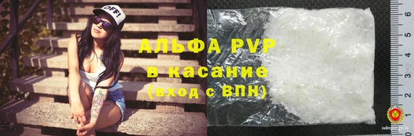 прущие грибы Армянск