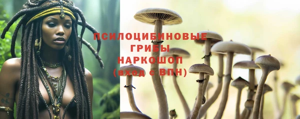 наркотики Алексин