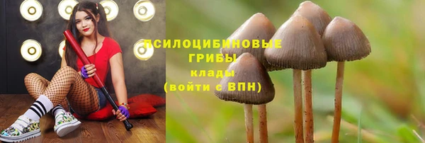 амфетамин Алексеевка