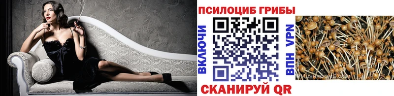 Псилоцибиновые грибы MAGIC MUSHROOMS Саров