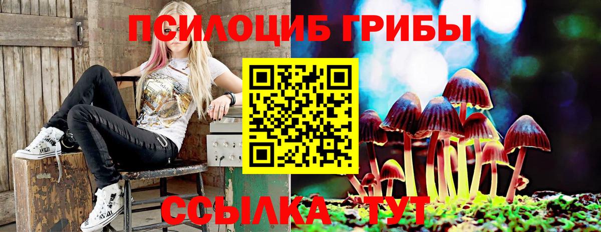 Псилоцибиновые грибы Magic Shrooms Саров