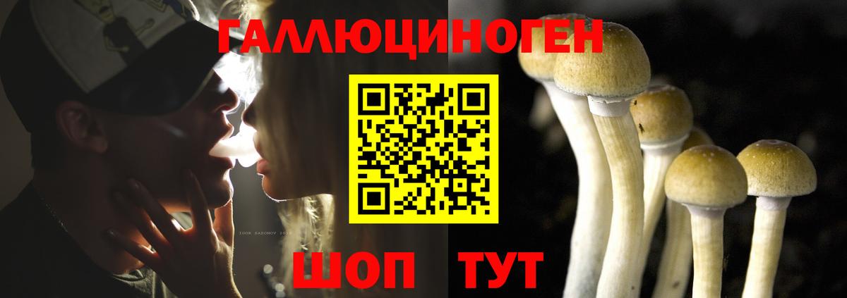 Галлюциногенные грибы GOLDEN TEACHER  Вход с VPN  Галлюциногенные грибы прущие грибы  Саров 