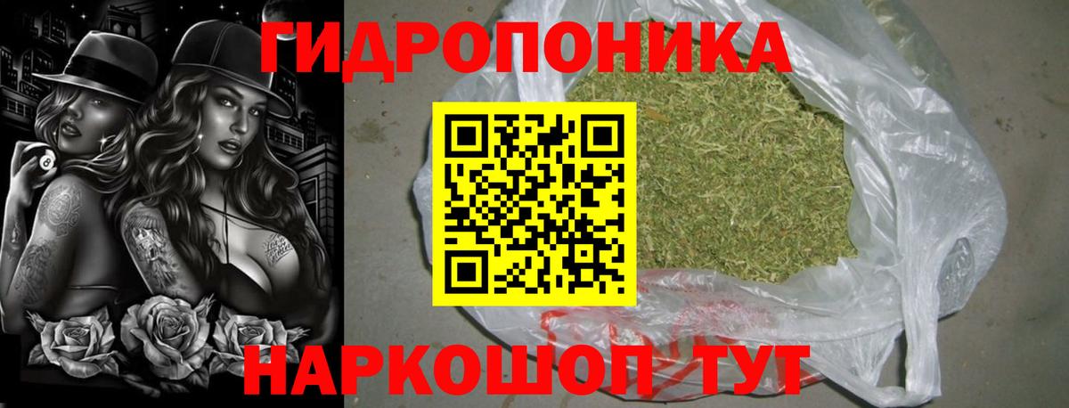 Саров  Конопля THC 21%  Вход с VPN  Бошки Шишки марихуана 